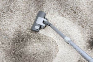 Cleaning Carpet - Cropped